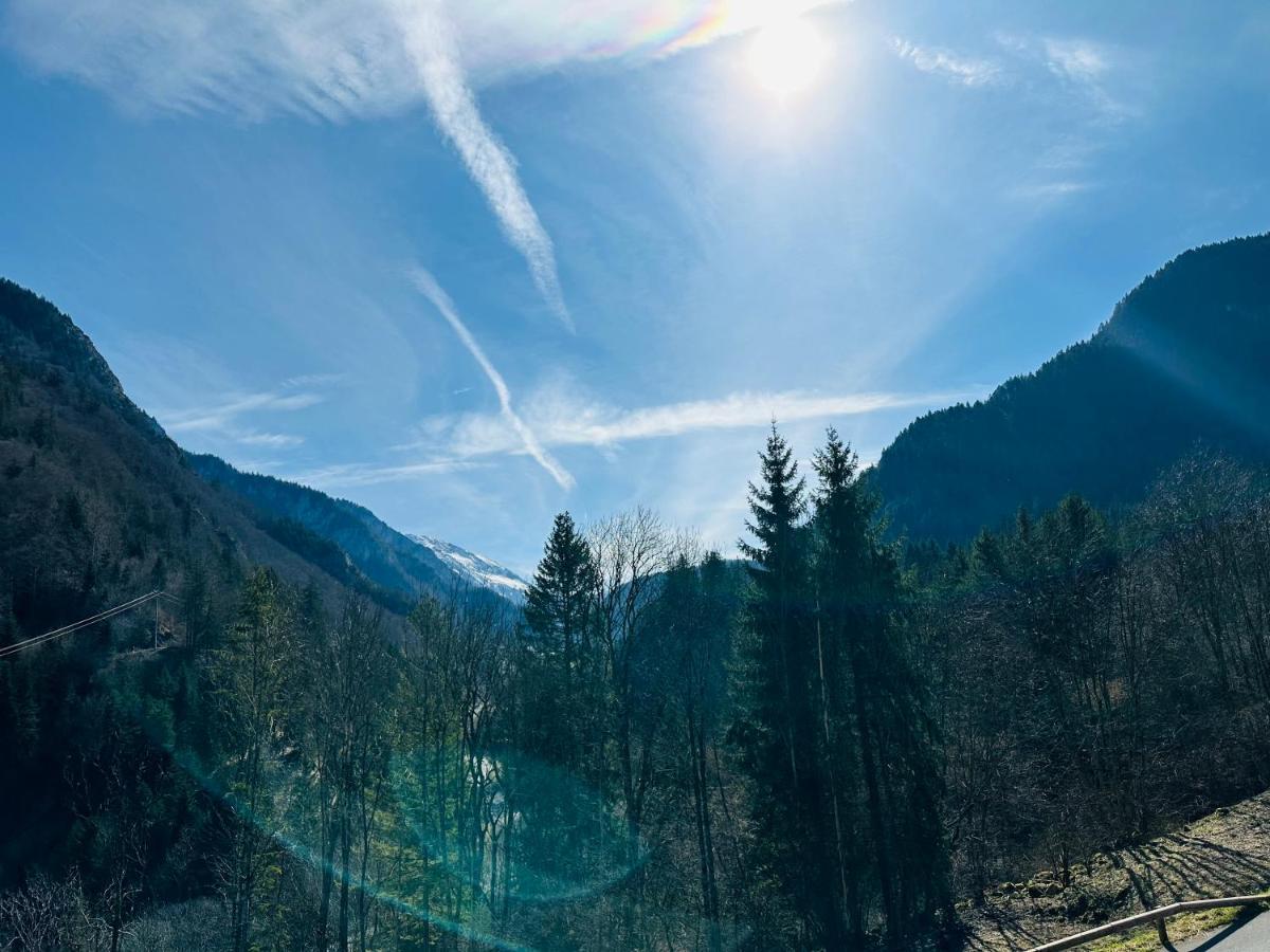 Chalet Du Bonheur Villa Bonnevaux  Eksteriør bilde