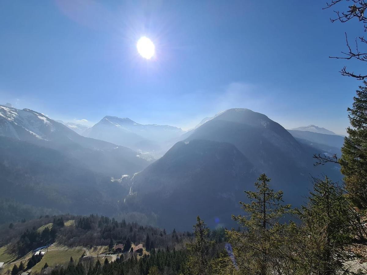 Chalet Du Bonheur Villa Bonnevaux  Eksteriør bilde