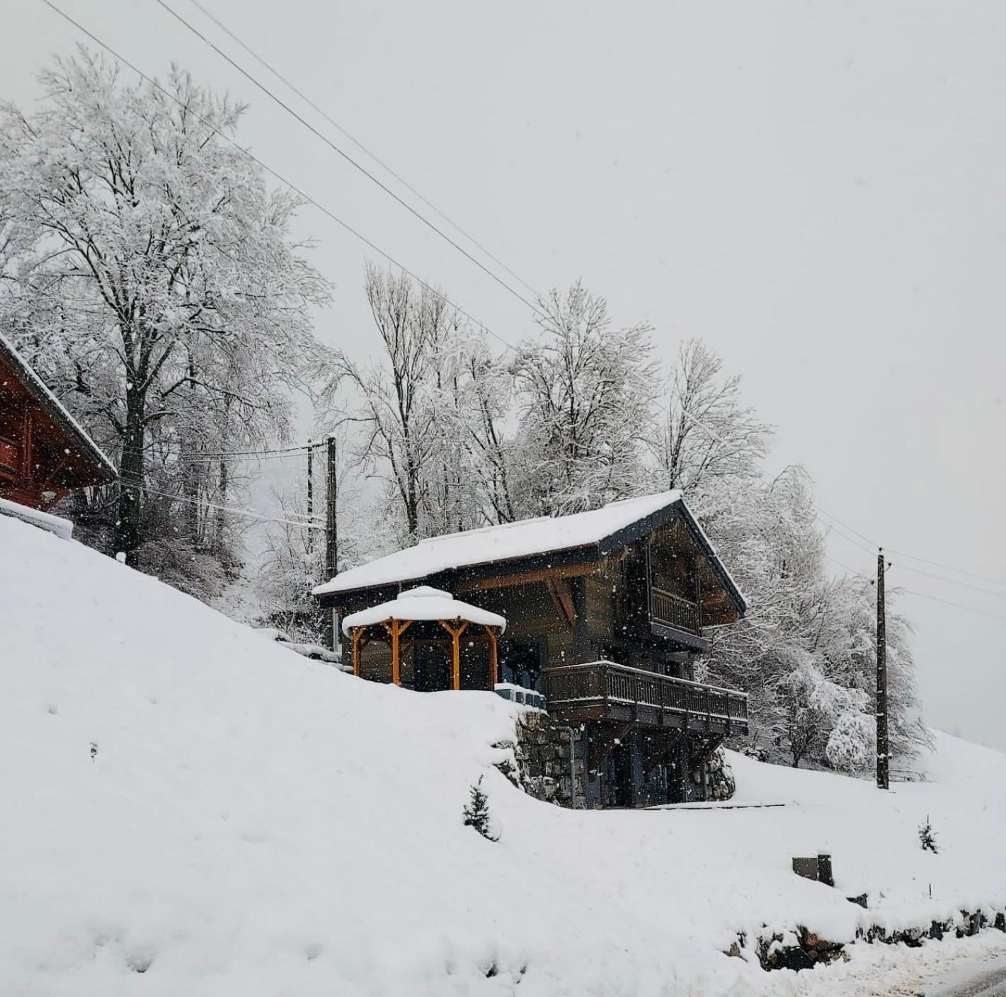 Chalet Du Bonheur Villa Bonnevaux  Eksteriør bilde