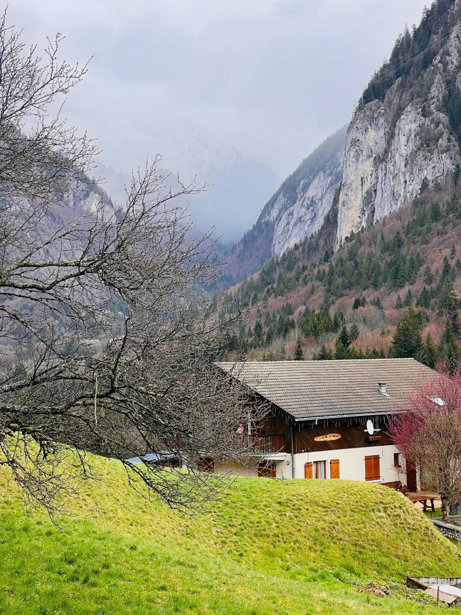 Chalet Du Bonheur Villa Bonnevaux  Eksteriør bilde